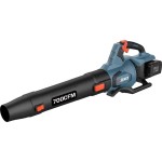 Воздуходувка аккумуляторная Senix BLAX2-M2-EU-0 без АКБ и ЗУ