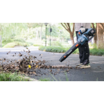 Воздуходувка аккумуляторная Senix BLAX2-M2-EU-0 без АКБ и ЗУ