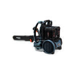 Воздуходувка аккумуляторная ранцевая SENIX BLBX6-M-EU-0