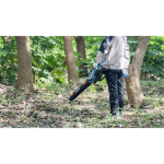 Воздуходувка аккумуляторная Senix BLAX2-M2-EU с 2 АКБ 4 А/ч и ЗУ