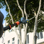 Кусторез для живой изгороди телескопический аккумуляторный 20V SENIX HTPX2-M-EU-0 без АКБ и ЗУ