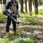 Воздуходувка аккумуляторная ранцевая SENIX BLBX6-M-EU-0